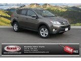 2014 Pyrite Mica Toyota RAV4 XLE AWD #89880242