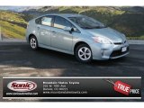 2014 Sea Glass Pearl Toyota Prius Three Hybrid #89915968