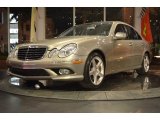 2008 Pewter Metallic Mercedes-Benz E 350 4Matic Sedan #89947122