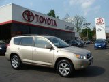 2006 Beige Metallic Toyota RAV4 Limited 4WD #8972175