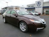 2010 Mayan Bronze Metallic Acura TL 3.5 #89981072