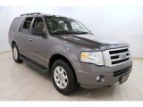 2010 Sterling Grey Metallic Ford Expedition XLT 4x4 #90100441