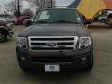 Sterling Gray Metallic Ford Expedition in 2012