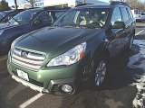 2014 Cypress Green Pearl Subaru Outback 2.5i Limited #90185337