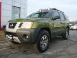 2011 Nissan Xterra Pro-4X 4x4