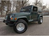 1999 Jeep Wrangler Sahara 4x4 Custom Wheels