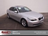 2010 Titanium Silver Metallic BMW 5 Series 528i Sedan #90269586