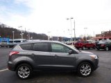 2013 Sterling Gray Metallic Ford Escape SEL 2.0L EcoBoost #90277062