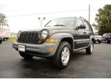 Dark Khaki Pearl Jeep Liberty in 2005