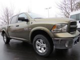 2014 Ram 1500 Mossy Oak Edition Crew Cab 4x4 Front 3/4 View