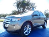 2014 Mineral Gray Ford Edge Limited #90335084