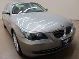 2009 Platinum Bronze Metallic BMW 5 Series 528xi Sedan #90369415