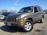 Light Khaki Metallic Jeep Liberty in 2006