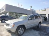 Light Graystone Pearl Jeep Grand Cherokee in 2010