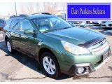 2013 Cypress Green Pearl Subaru Outback 2.5i Premium #90462243