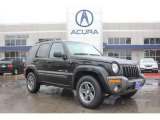 Black Clearcoat Jeep Liberty in 2004