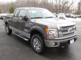 2013 Sterling Gray Metallic Ford F150 XLT SuperCab 4x4 #90621966