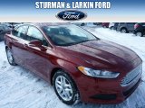 2014 Sunset Ford Fusion SE EcoBoost #90621813