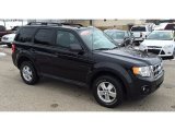 2011 Ford Escape XLT V6 4WD