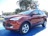2014 Sunset Ford Escape SE 1.6L EcoBoost #90677544