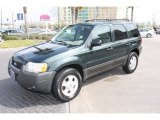 2004 Ford Escape XLT V6 Front 3/4 View