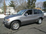 2004 Sterling Grey Metallic BMW X5 3.0i #90745963