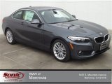 2014 Mineral Grey Metallic BMW 2 Series 228i Coupe #90745768