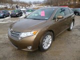 2009 Toyota Venza AWD Front 3/4 View