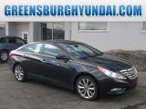 2011 Pacific Blue Pearl Hyundai Sonata SE #90852090