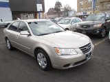 2009 Hyundai Sonata GLS