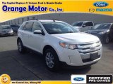 White Suede Ford Edge in 2013