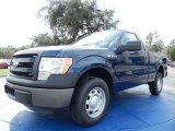 2014 Ford F150 Blue Jeans