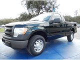 2014 Green Gem Ford F150 XL Regular Cab #90930572