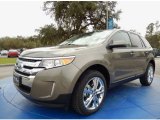 2014 Mineral Gray Ford Edge SEL #90960459