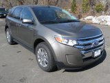 2013 Mineral Gray Metallic Ford Edge SEL EcoBoost #91048089