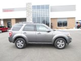 2009 Sterling Grey Metallic Ford Escape Limited 4WD #91048071