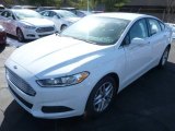 Oxford White Ford Fusion in 2014