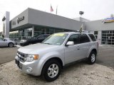 2009 Ford Escape Limited V6 4WD