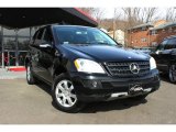 2006 Mercedes-Benz ML 350 4Matic