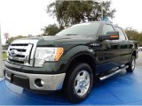 2012 Ford F150 XLT SuperCrew Front 3/4 View