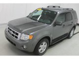 2010 Sterling Grey Metallic Ford Escape XLT 4WD #91407821