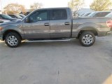 2014 Sterling Grey Ford F150 XLT SuperCrew #91449039