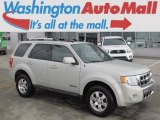 2008 Light Sage Metallic Ford Escape Limited 4WD #91598821