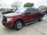 2014 Sunset Ford F150 STX SuperCab #91642801