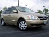 2008 Sonora Gold Hyundai Entourage GLS #9100797