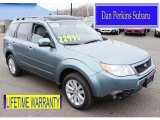 2013 Sage Green Metallic Subaru Forester 2.5 X Premium #91703825