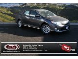 2014 Magnetic Gray Metallic Toyota Camry XLE #91754600