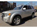 2009 Ford Escape Limited