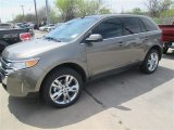 2014 Mineral Gray Ford Edge Limited #91851438