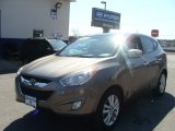 2011 Chai Bronze Hyundai Tucson Limited AWD #91893851